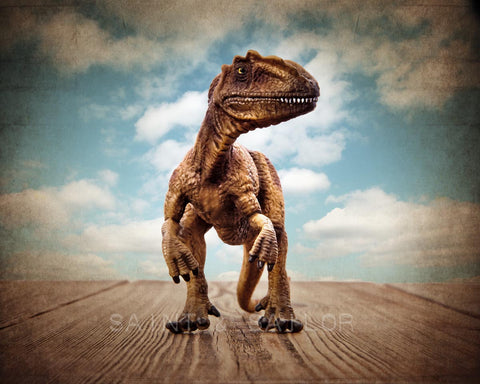 Allosaurus Dinosaur - Saint & Sailor Studios