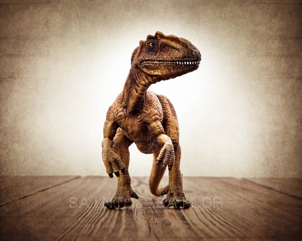 Allosaurus Dinosaur - Saint & Sailor Studios