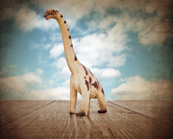 Brachiosaurus Dinosaur - Saint & Sailor Studios