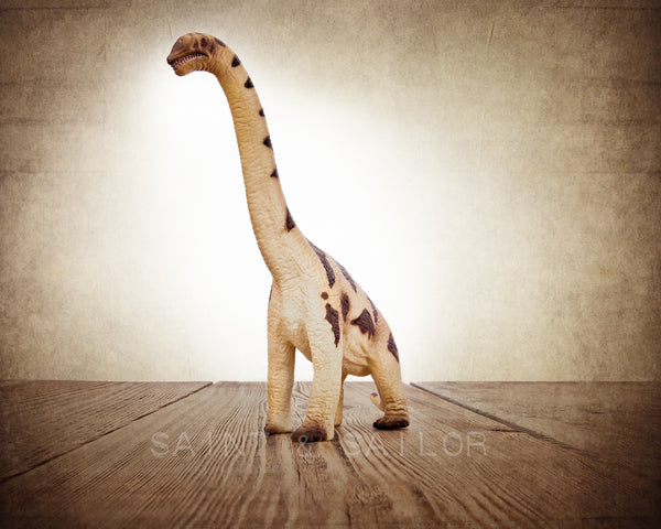 Brachiosaurus Dinosaur - Saint & Sailor Studios