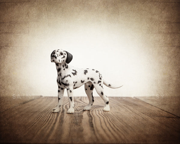 Fire Dog Photo Print - Saint & Sailor Studios