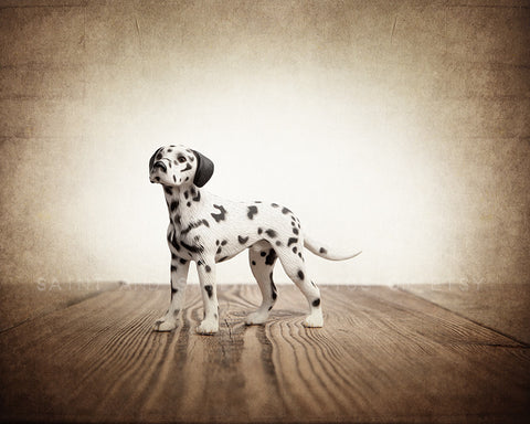 Fire Dog Photo Print - Saint & Sailor Studios