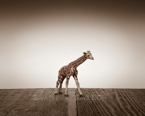 Baby Giraffe on Wood - Saint & Sailor Studios
