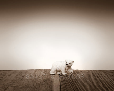 Polar Bear Cub on Wood - Saint & Sailor Studios