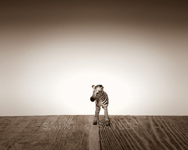 Baby Zebra Facing - Saint & Sailor Studios