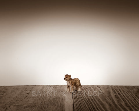 Baby Cheetah on Wood - Saint & Sailor Studios