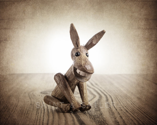 The Little Wooden Donkey - Saint & Sailor Studios