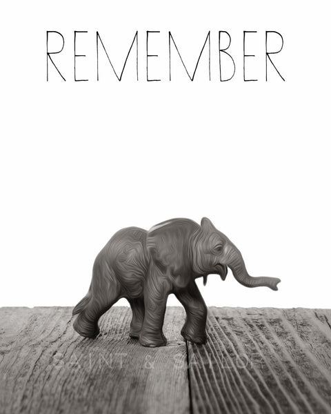 Baby Elephant "Remember" - Saint & Sailor Studios
