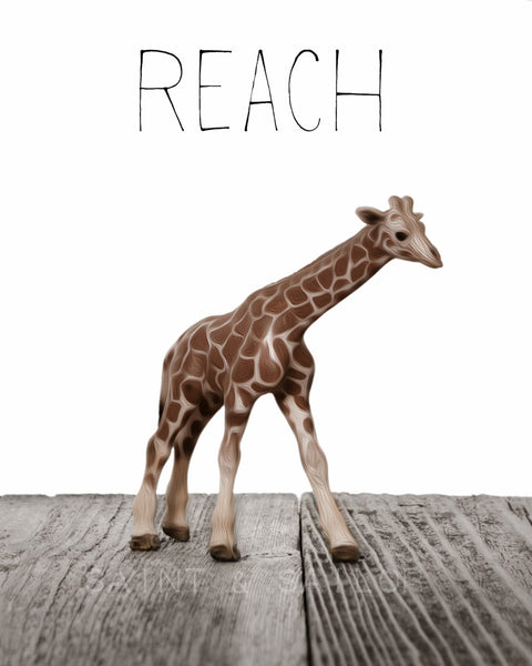 Baby Giraffe "Reach" - Saint & Sailor Studios