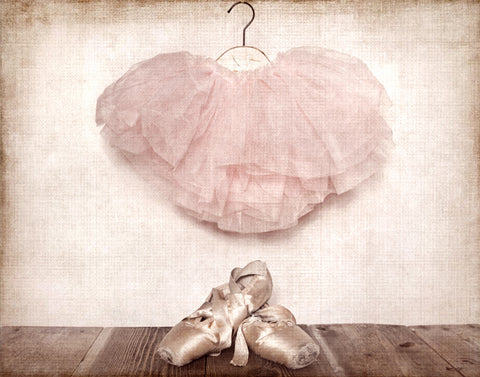 Vintage Ballet Slippers and Tutu - Saint & Sailor Studios