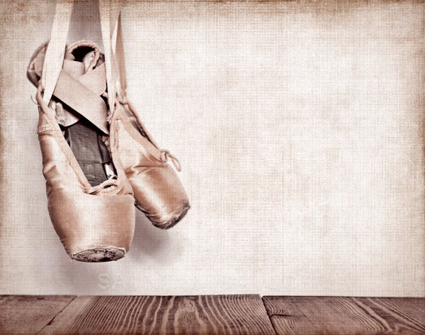 Vintage Ballet Slippers Side - Saint & Sailor Studios