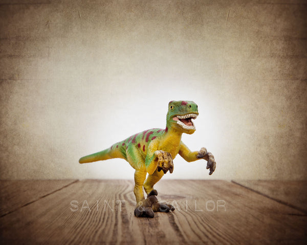 Velociraptor Dinosaur - Saint & Sailor Studios