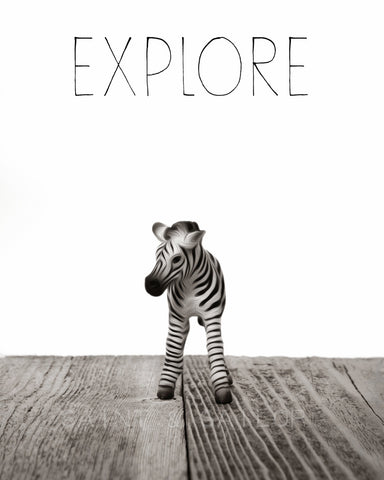 Baby Zebra "Explore" - Saint & Sailor Studios